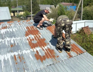 покраска крыши